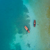 Stand Up Paddleboards