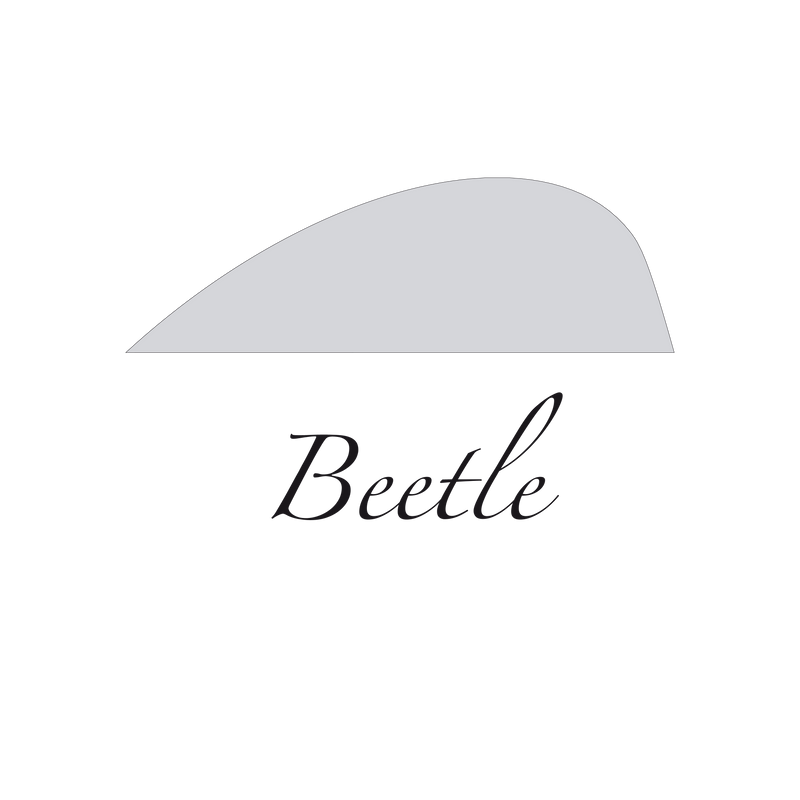 Center Trailer Beetle