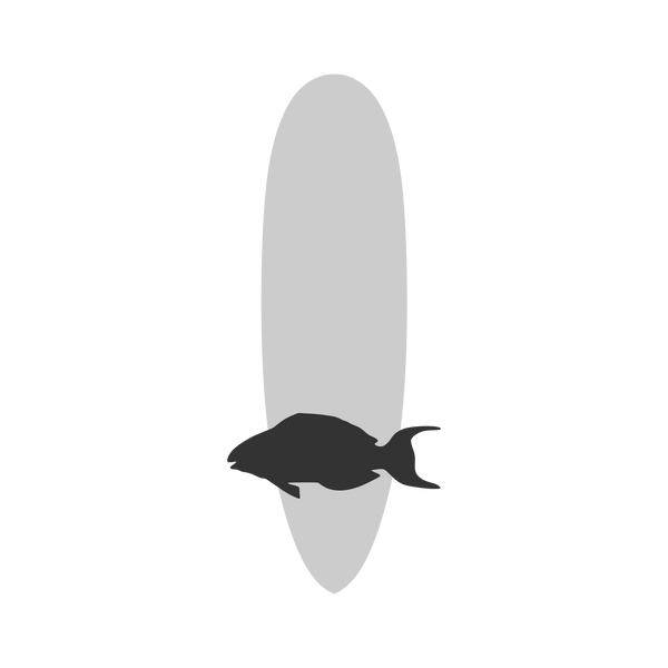 Parrot