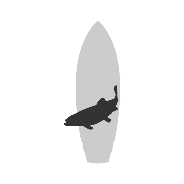 Trout